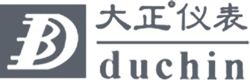 Chongqing Dazheng Instruments